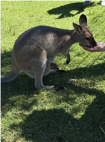 A15F9C4D-B04A-47C6-B02D-487DEB287973_4_5005_c